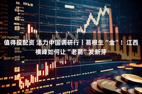 值得投配资 活力中国调研行丨葛根生“金”！江西横峰如何让“老葛”发新芽