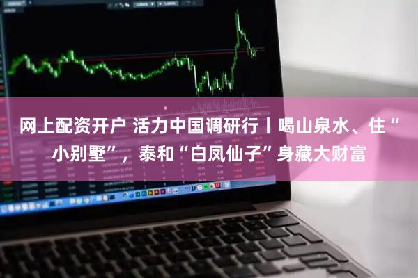 网上配资开户 活力中国调研行丨喝山泉水、住“小别墅”，泰和“白凤仙子”身藏大财富