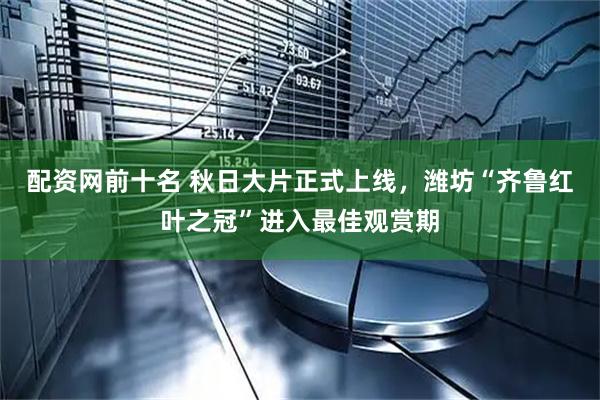 配资网前十名 秋日大片正式上线，潍坊“齐鲁红叶之冠”进入最佳观赏期